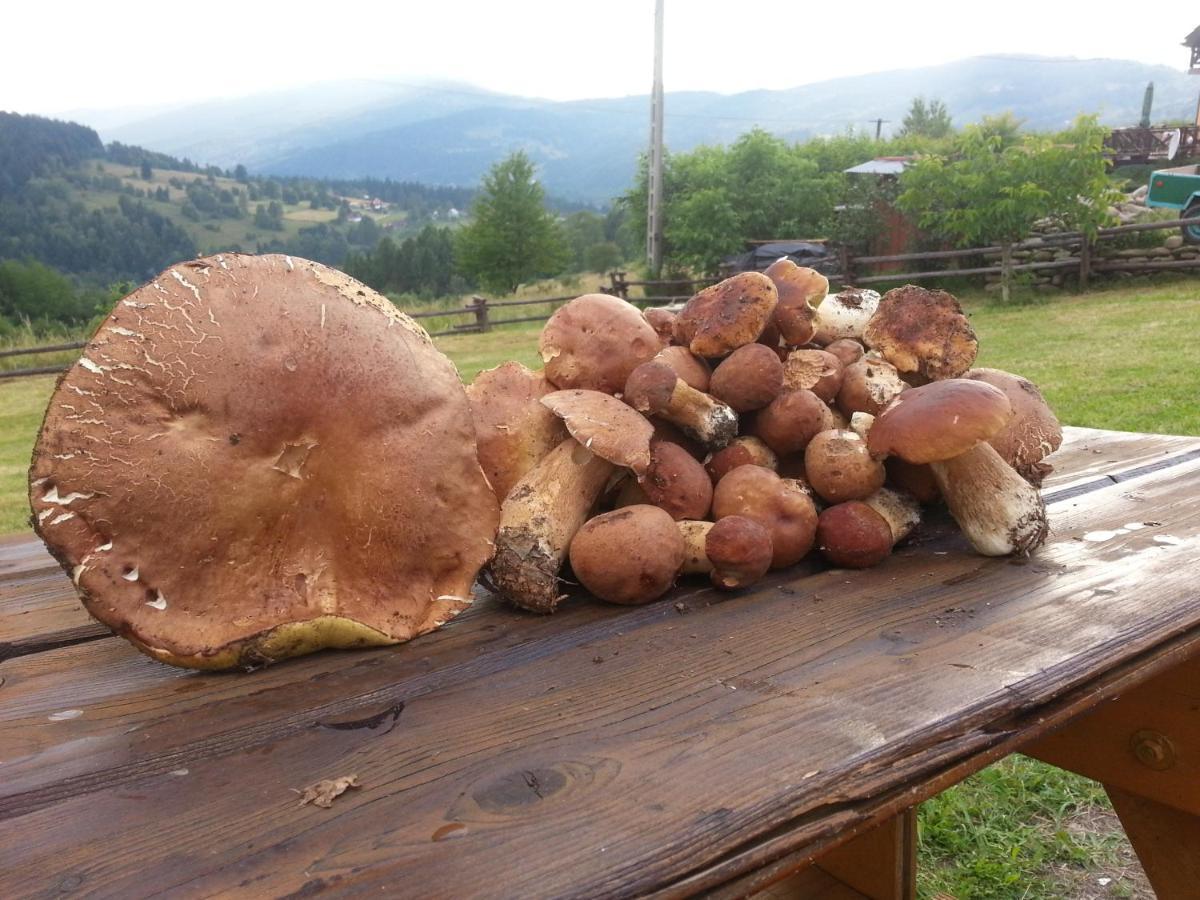 Babia Chata Zawoja Extérieur photo